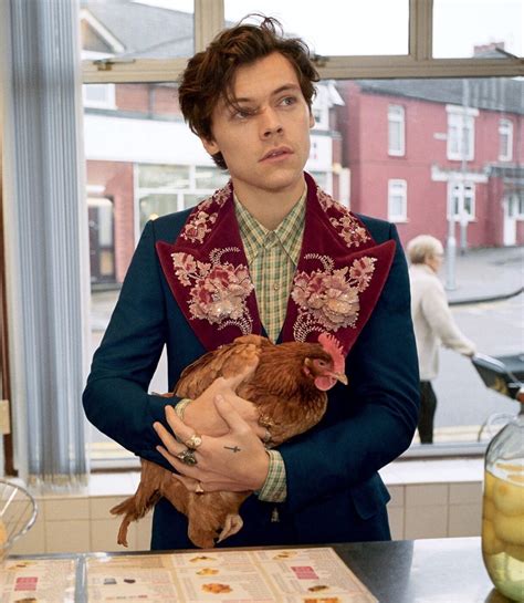 gucci tailoring 2018|Harry Styles for Gucci Tailoring Campaign .